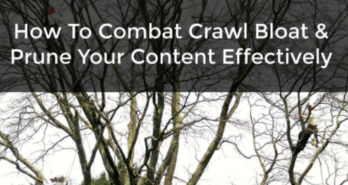 crawl bloat and pruning